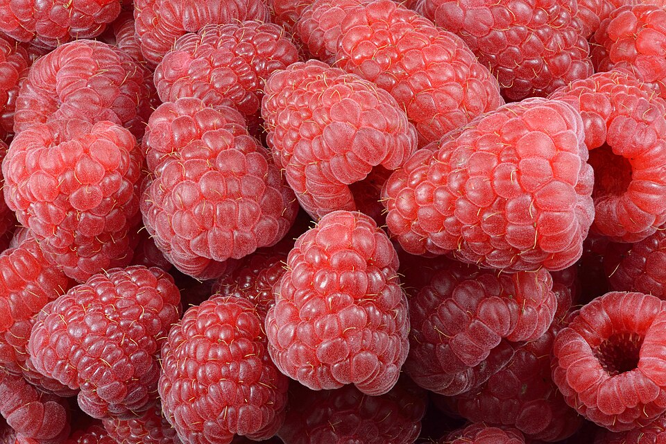Red Raspberry